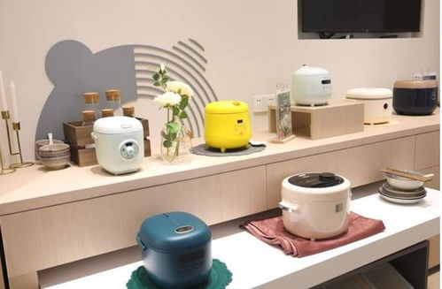 失去了年輕人的寵愛，小家電行業該如何破局？